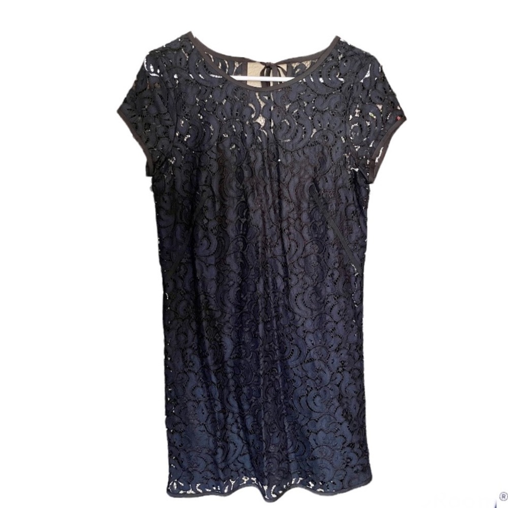 Loft Lace Navy and Black Dress
